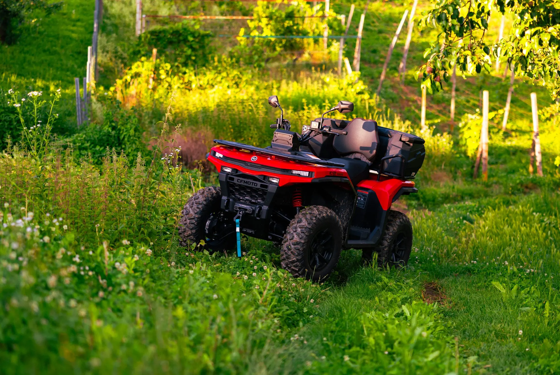 Crveni quad na zelenoj livadi