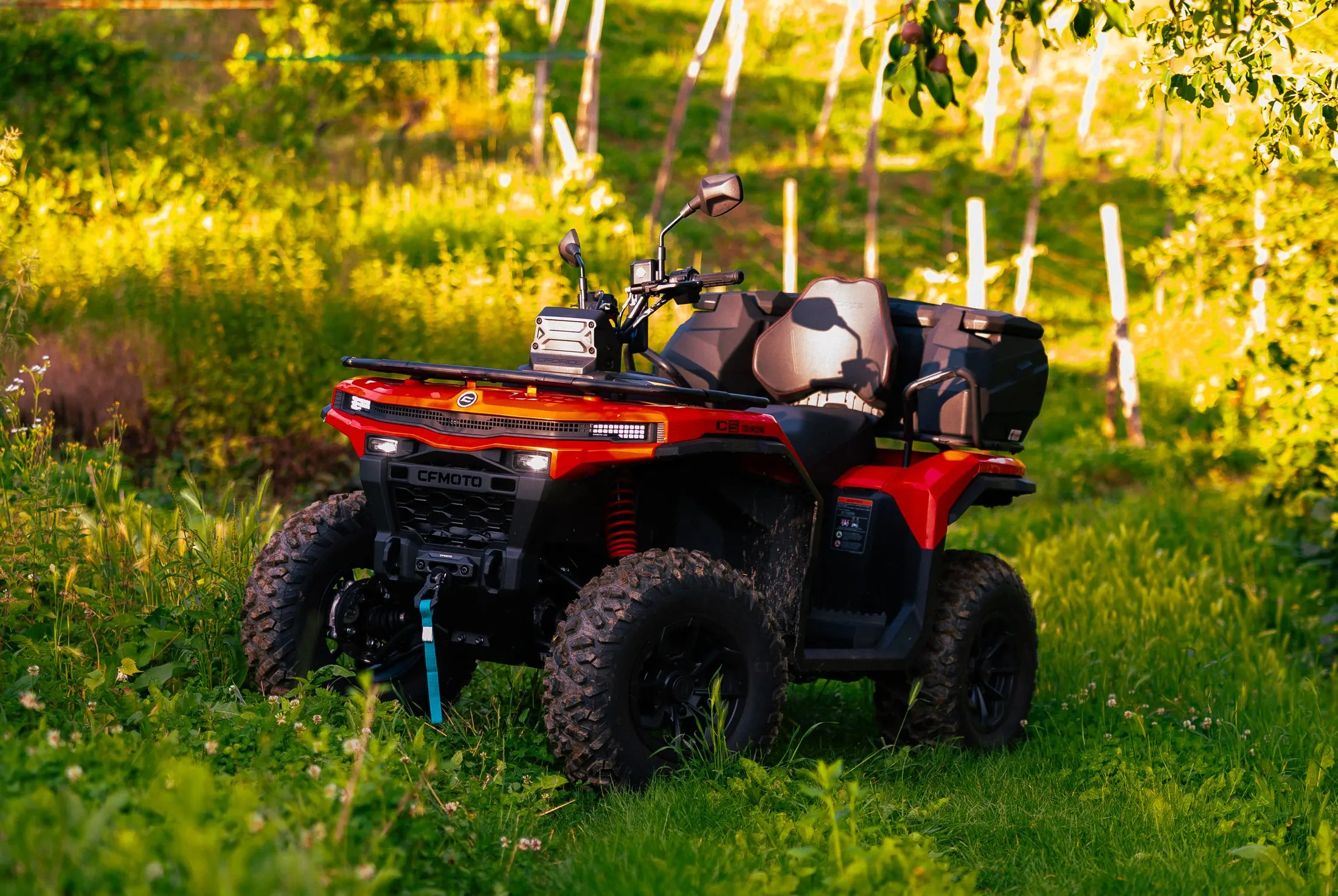 Crveni quad u voćnjaku