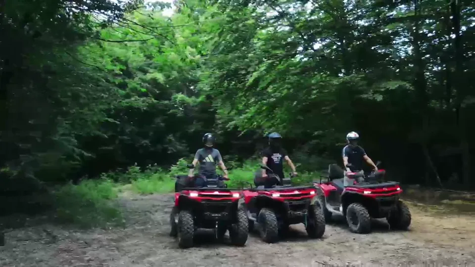 Tri vozača na quadovima prolaze šumskim terenom